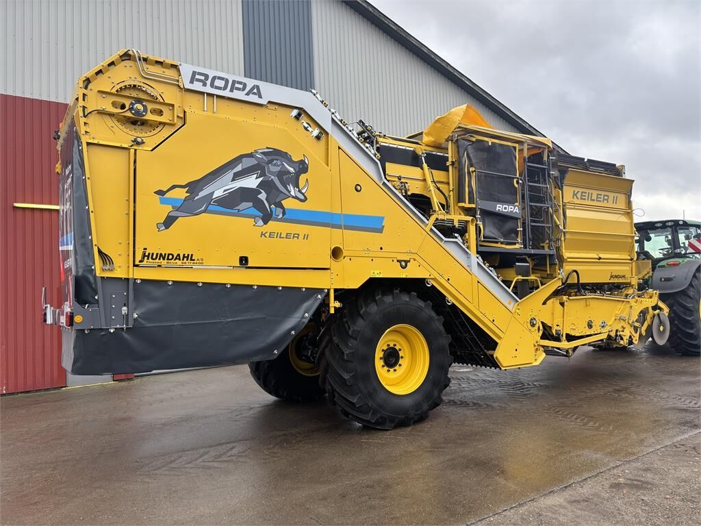 Ropa KEILER II L WD RK22 Ropa KEILER II L WD RK22 - حصادة البطاطس: صورة 2 Ropa KEILER II L WD RK22 Ropa KEILER II L WD RK22 - حصادة البطاطس: صورة 2