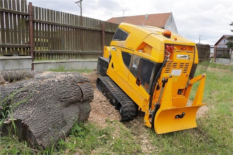 Laski P56 RX - آلة تقطيع الخشب: صورة 5 Laski P56 RX - آلة تقطيع الخشب: صورة 5