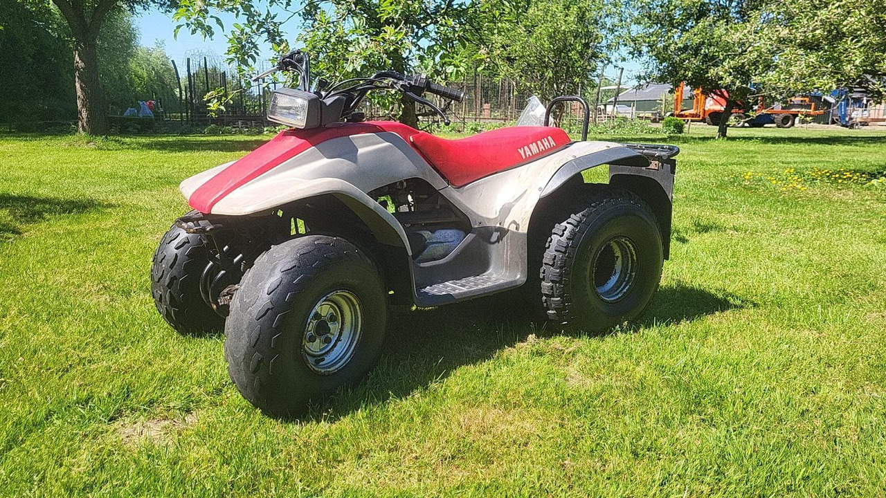 Yamaha BREEZE 125cc Quad T-50-BLG - عربة جميع التضاريس/ رباعية العجلات: صورة 1 Yamaha BREEZE 125cc Quad T-50-BLG - عربة جميع التضاريس/ رباعية العجلات: صورة 1