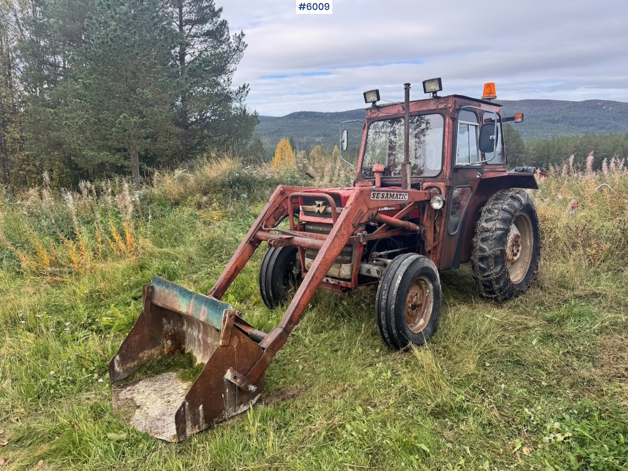 1971 Massey-Ferguson 135 incl. front loader, bucket, rear scraper, and log splitter/firewood machine - جرار: صورة 5 1971 Massey-Ferguson 135 incl. front loader, bucket, rear scraper, and log splitter/firewood machine - جرار: صورة 5