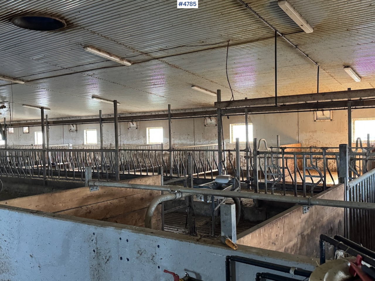 Barn furnishings sold together or separately - معدات الماشية: صورة 4 Barn furnishings sold together or separately - معدات الماشية: صورة 4