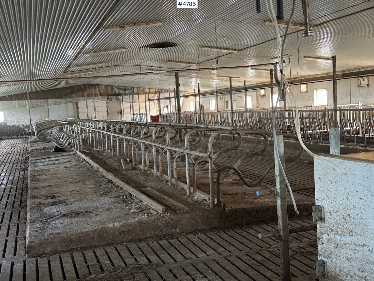 Barn furnishings sold together or separately - معدات الماشية: صورة 2 Barn furnishings sold together or separately - معدات الماشية: صورة 2
