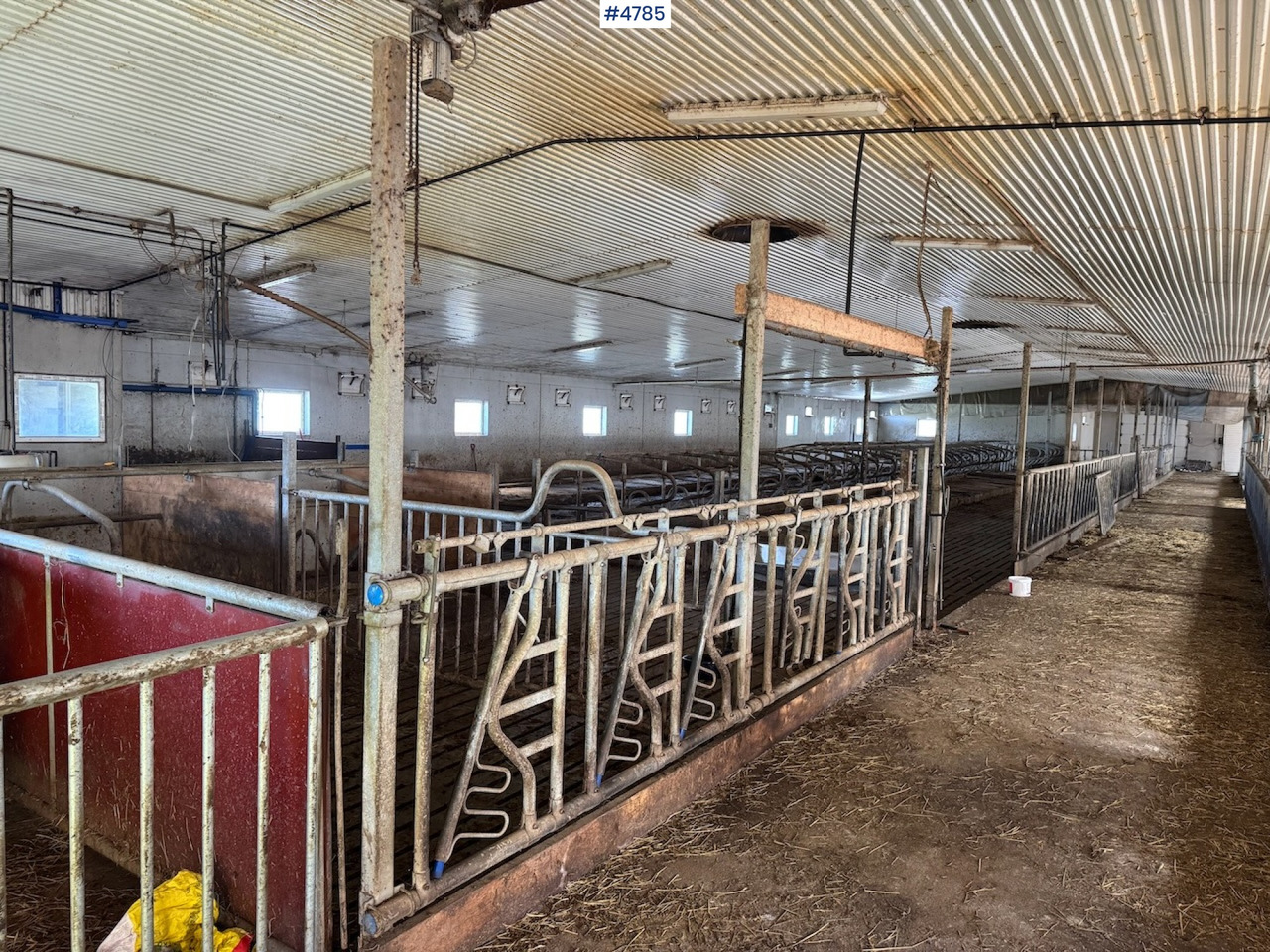 Barn furnishings sold together or separately - معدات الماشية: صورة 3 Barn furnishings sold together or separately - معدات الماشية: صورة 3