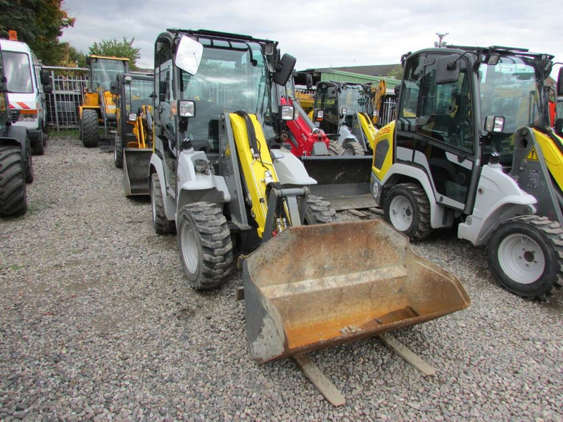 Kramer 5035 Radlader 25.500 EUR - اللودر بعجل: صورة 2 Kramer 5035 Radlader 25.500 EUR - اللودر بعجل: صورة 2