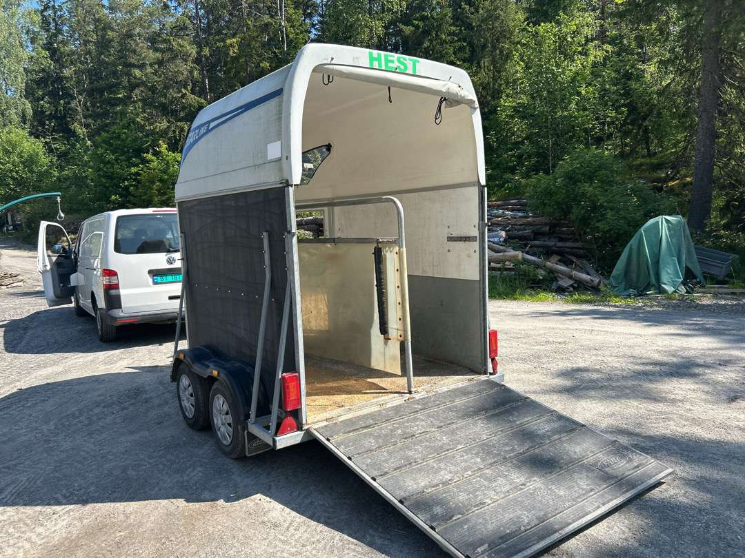 2008 Hestehenger STARLINE DIAMOND - مقطورة: صورة 4 2008 Hestehenger STARLINE DIAMOND - مقطورة: صورة 4