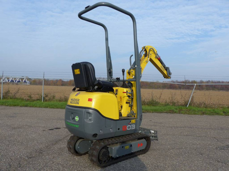 WACKER NEUSON 803 - حفار صغير: صورة 3 WACKER NEUSON 803 - حفار صغير: صورة 3