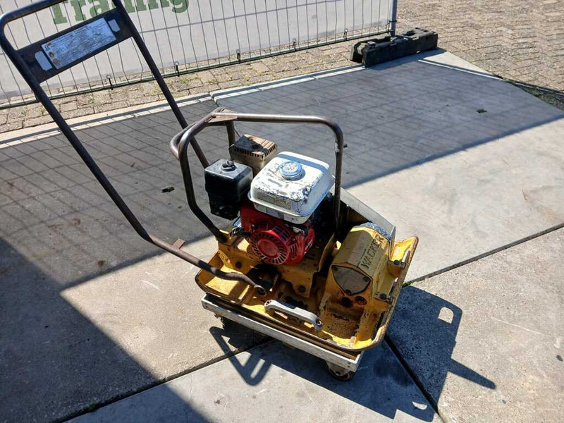 Wacker WPR 1350 - صفيحة هزازة: صورة 1 Wacker WPR 1350 - صفيحة هزازة: صورة 1