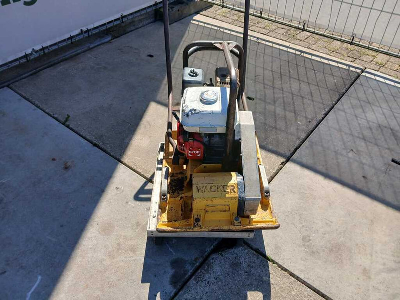 Wacker WPR 1350 - صفيحة هزازة: صورة 5 Wacker WPR 1350 - صفيحة هزازة: صورة 5