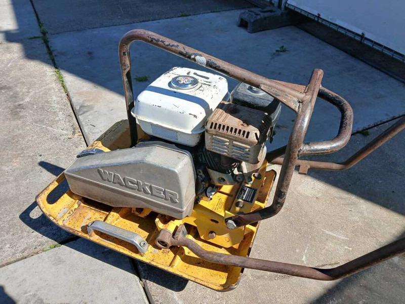 Wacker WPR 1350 - صفيحة هزازة: صورة 4 Wacker WPR 1350 - صفيحة هزازة: صورة 4
