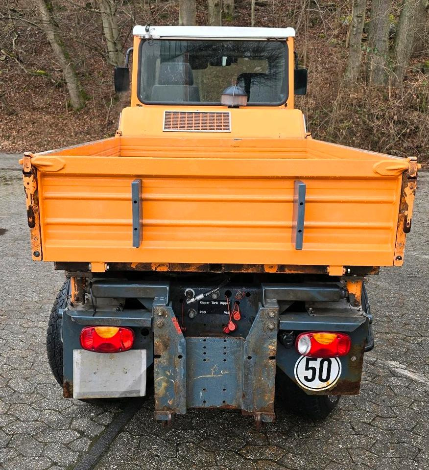 Boki Kiefer HY 1251 Bokimobil LKW mit Wechselaufbau Multicar Ladog Winterdienst Tremo - سيارة خدمات/ سيارة خاصة: صورة 4 Boki Kiefer HY 1251 Bokimobil LKW mit Wechselaufbau Multicar Ladog Winterdienst Tremo - سيارة خدمات/ سيارة خاصة: صورة 4