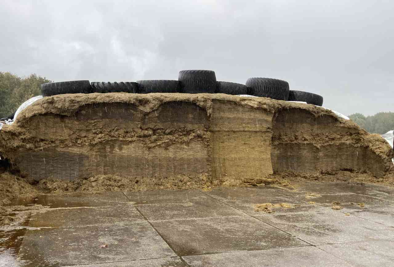 Flingk KHXL 1724 Kuilhapper Demo voermachines - معدات تخزين حبوب: صورة 5 Flingk KHXL 1724 Kuilhapper Demo voermachines - معدات تخزين حبوب: صورة 5