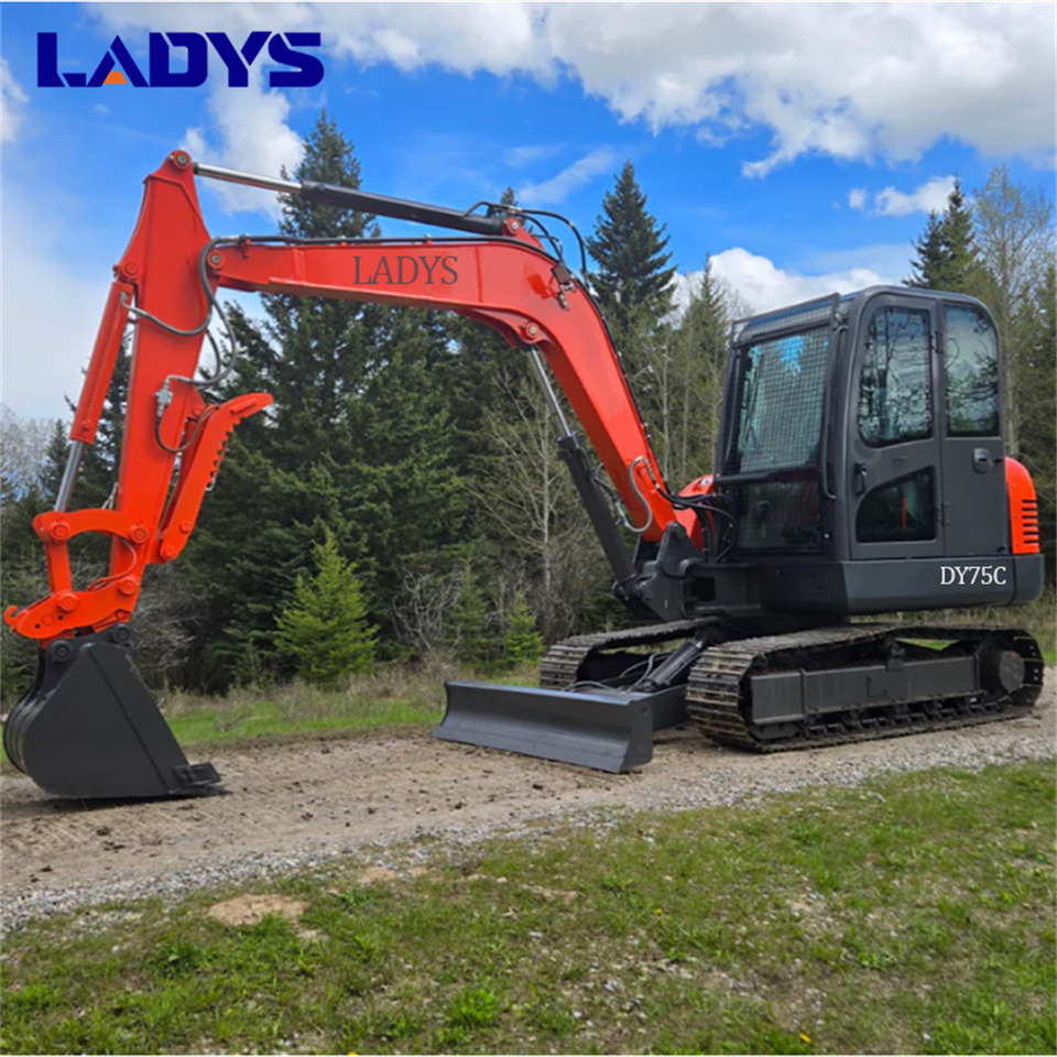 LADYS DY75C Small Crawler Excavator Euro 5/EPA Yanmar Engine Mini Small Excavator For Sale - حفّار: صورة 1 LADYS DY75C Small Crawler Excavator Euro 5/EPA Yanmar Engine Mini Small Excavator For Sale - حفّار: صورة 1