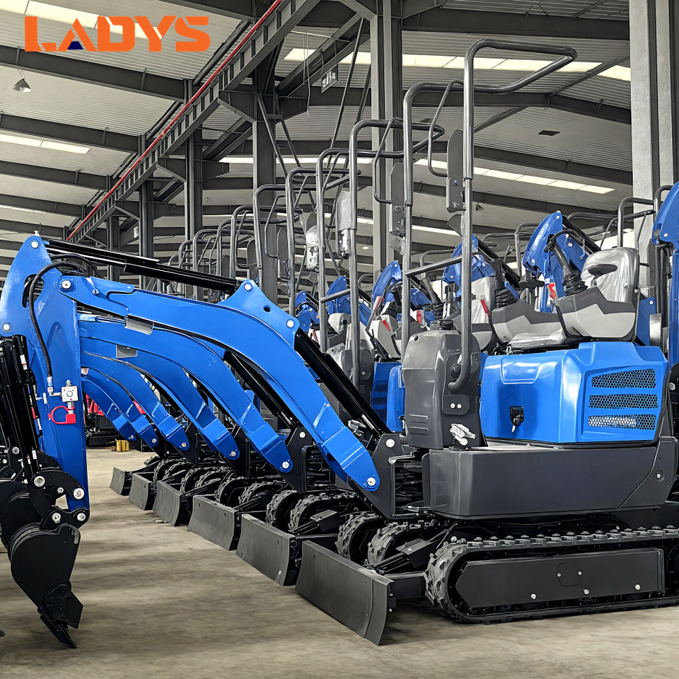 تأجير LADYS LA16Pro Mini Excavator Digger Miniexcavadora EPA Kubota Engine Mini Excavator For Sale With Mini Excavator Attachment Set LADYS LA16Pro Mini Excavator Digger Miniexcavadora EPA Kubota Engine Mini Excavator For Sale With Mini Excavator Attachment Set: صورة 6