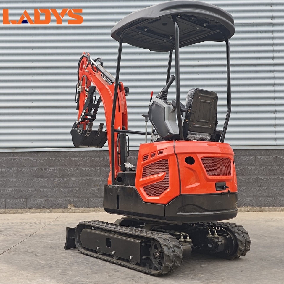 حفار صغير للبيع  LADYS Mini Excavator Digger Miniexcavadora EPA Kubota Engine Chinese LADYS DY18 Mini Excavator For Sale With Mini Excavator Attachment Set: صورة 7
