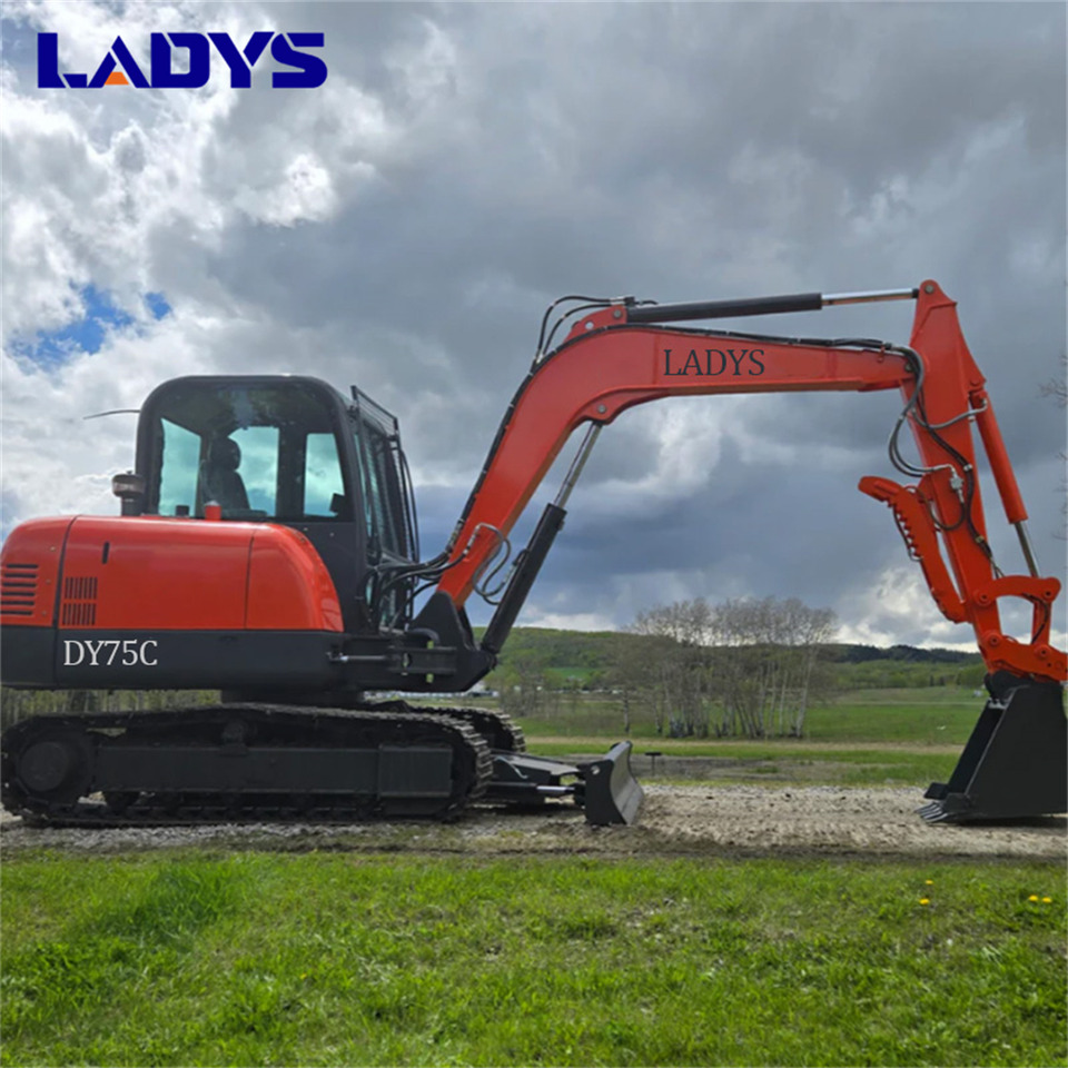 LADYS DY75C Small Excavator Euro 5/Epa Yanmar Engine Small Excavator Crawler Excavator For Sale - حفار زاحف: صورة 1 LADYS DY75C Small Excavator Euro 5/Epa Yanmar Engine Small Excavator Crawler Excavator For Sale - حفار زاحف: صورة 1