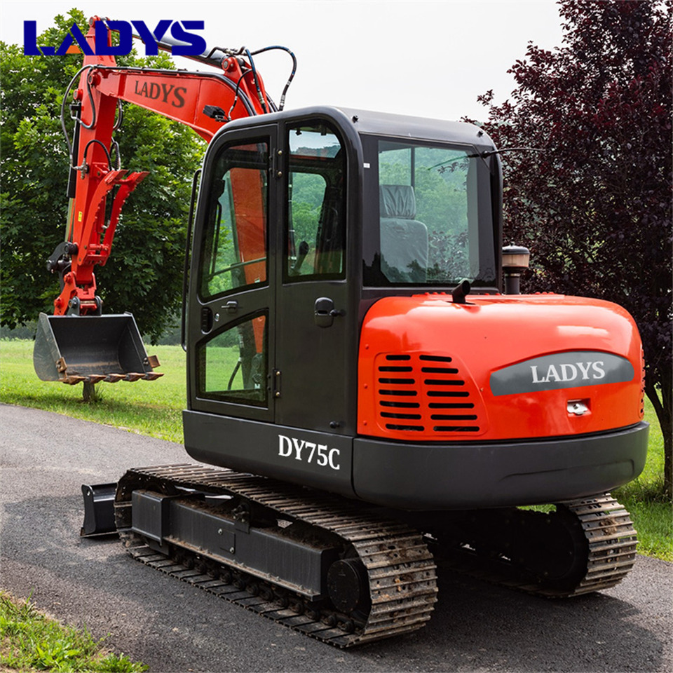 LADYS DY75C Small Excavator Euro 5/Epa Yanmar Engine Small Excavator Crawler Excavator For Sale - حفار زاحف: صورة 5 LADYS DY75C Small Excavator Euro 5/Epa Yanmar Engine Small Excavator Crawler Excavator For Sale - حفار زاحف: صورة 5