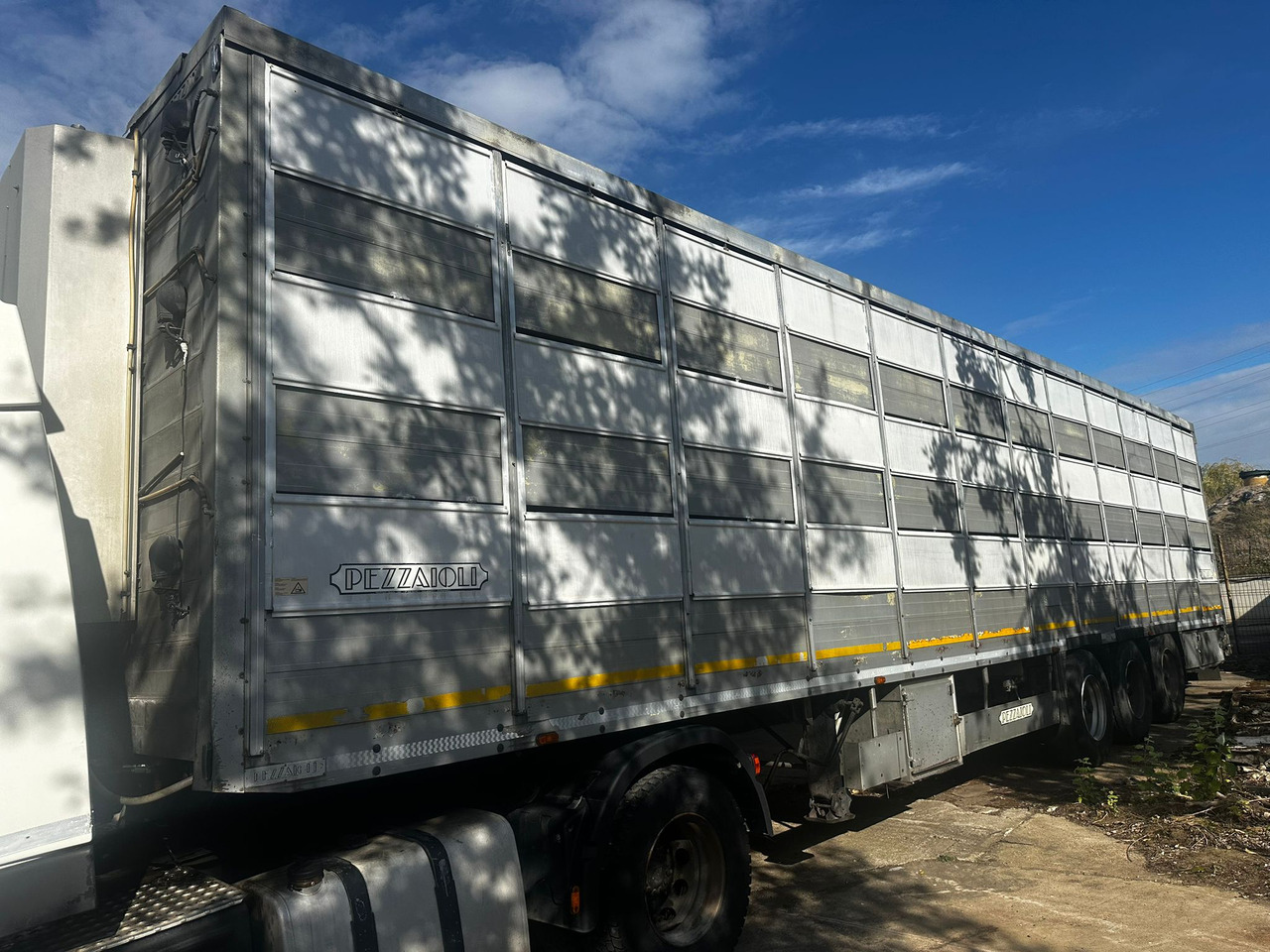 PEZZAIOLLI Animal Transport Semi-trailer - نصف مقطورة للماشية: صورة 1 PEZZAIOLLI Animal Transport Semi-trailer - نصف مقطورة للماشية: صورة 1
