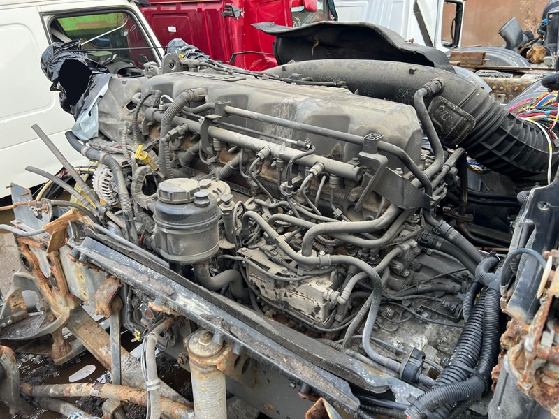 DAF MX13 375 H1 - محرك: صورة 4 DAF MX13 375 H1 - محرك: صورة 4