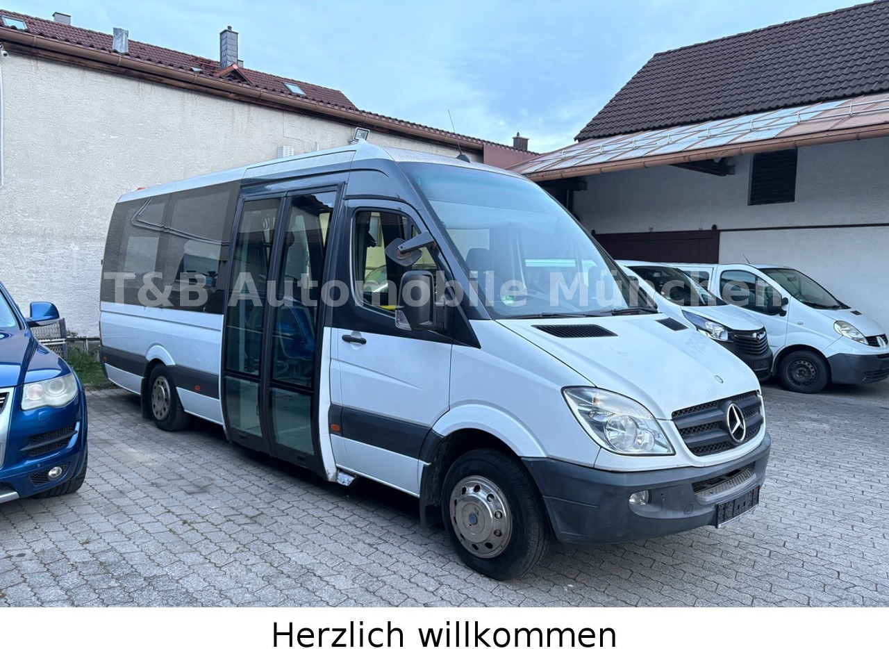 Mercedes-Benz Sprinter 516 CDI*Reisebus*Panorama*Retarder* - حافلة نقل لمسافات طويلة: صورة 3 Mercedes-Benz Sprinter 516 CDI*Reisebus*Panorama*Retarder* - حافلة نقل لمسافات طويلة: صورة 3