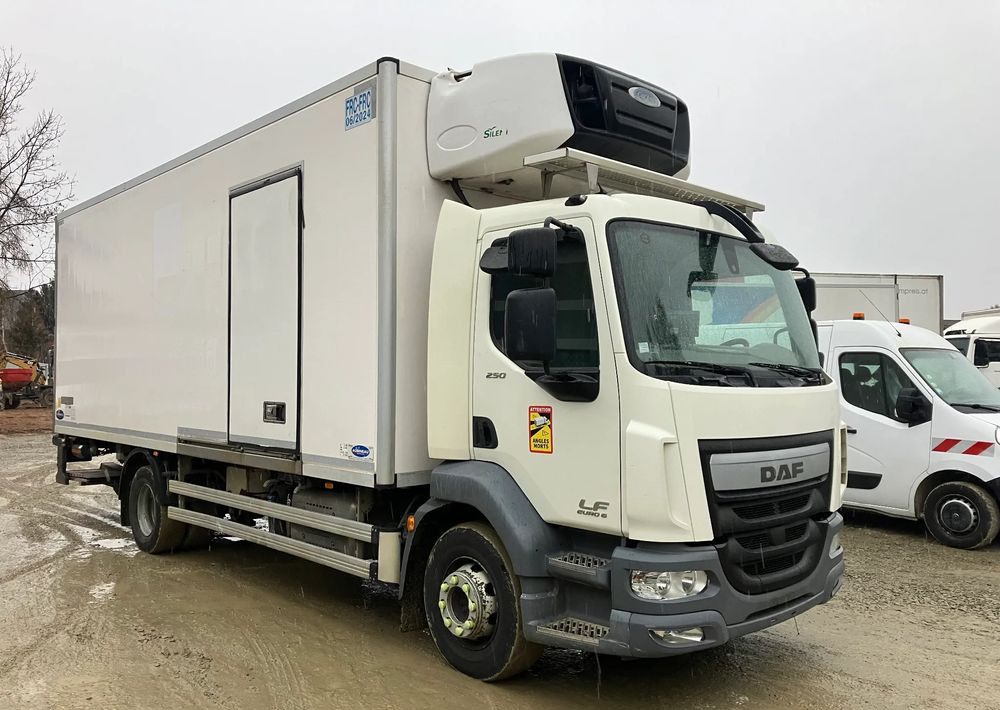DAF Daf LF 16.250 chłodnia multi temperatura 16 palet - شاحنة ذات مبرد: صورة 2 DAF Daf LF 16.250 chłodnia multi temperatura 16 palet - شاحنة ذات مبرد: صورة 2