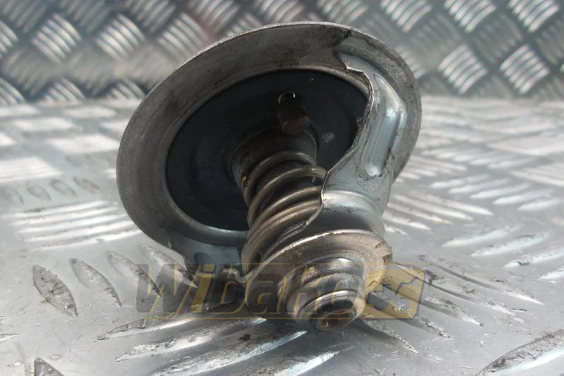 Iveco F4AE0681B - ترموستات - آلات الإنشاء: صورة 1 Iveco F4AE0681B - ترموستات - آلات الإنشاء: صورة 1