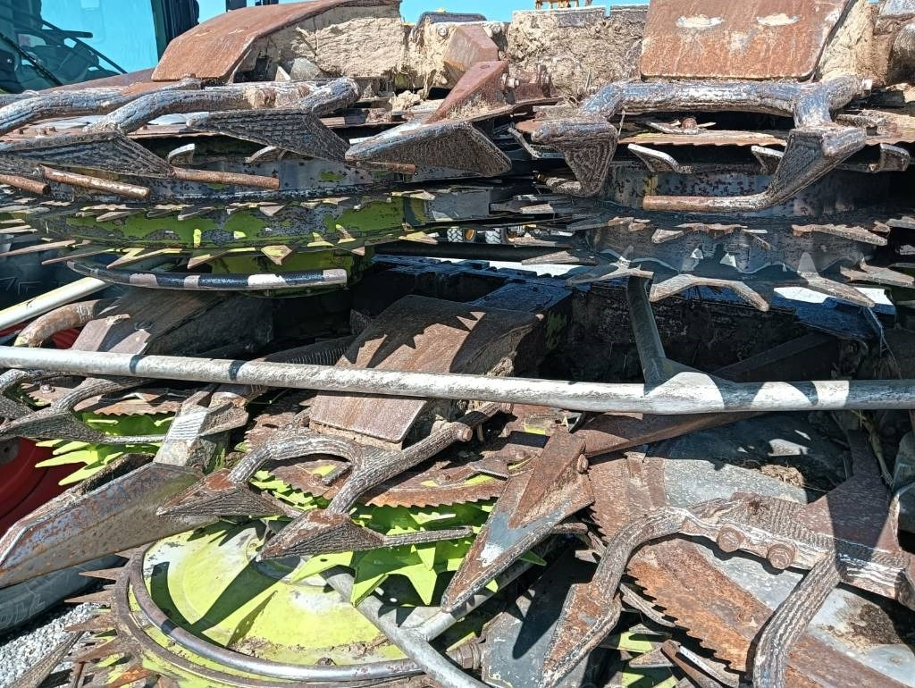 حصادة ذرة Claas Orbis 900: صورة 7