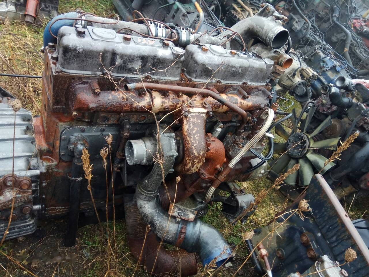 DAF ATI WS315M DAF 95 - محرك - شاحنة: صورة 3 DAF ATI WS315M DAF 95 - محرك - شاحنة: صورة 3