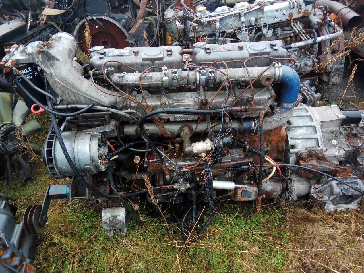 DAF ATI WS315M DAF 95 - محرك - شاحنة: صورة 1 DAF ATI WS315M DAF 95 - محرك - شاحنة: صورة 1