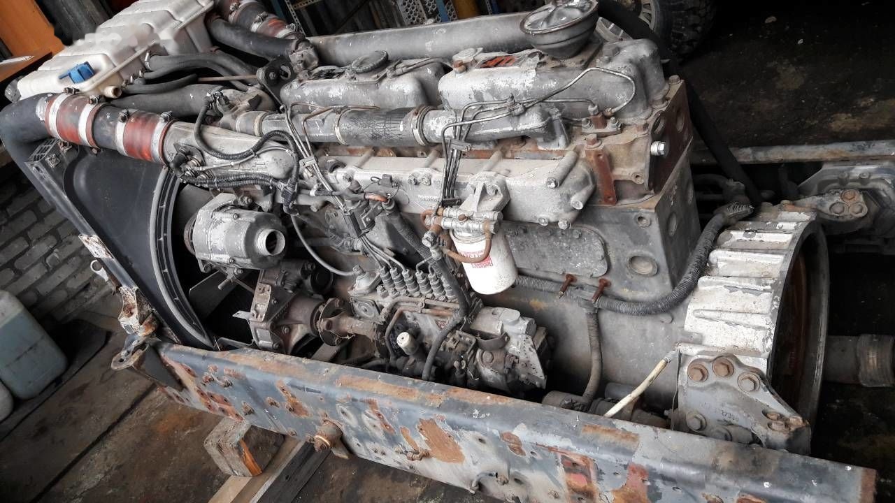 DAF WS268G DAF 95 85 - محرك - شاحنة: صورة 3 DAF WS268G DAF 95 85 - محرك - شاحنة: صورة 3