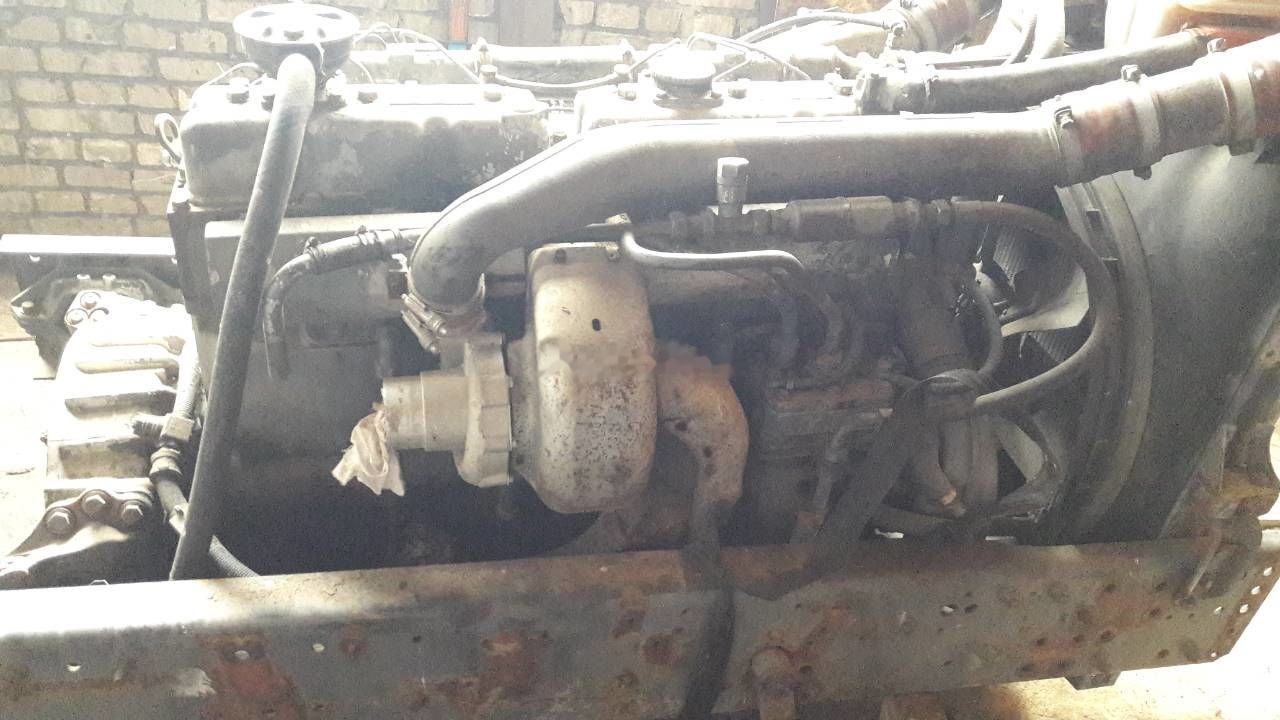 DAF WS268G DAF 95 85 - محرك - شاحنة: صورة 2 DAF WS268G DAF 95 85 - محرك - شاحنة: صورة 2