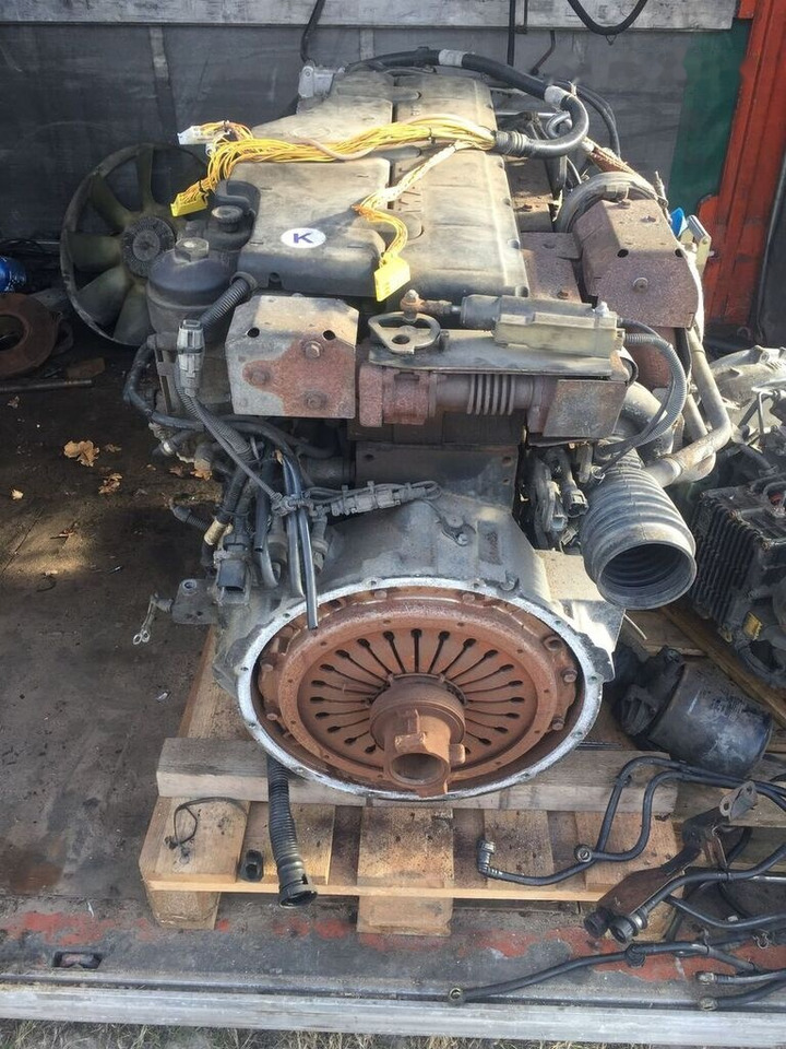 MAN D0836 LFL63 MAN TGL, TGM, M2000, L2000 - محرك - شاحنة: صورة 1 MAN D0836 LFL63 MAN TGL, TGM, M2000, L2000 - محرك - شاحنة: صورة 1