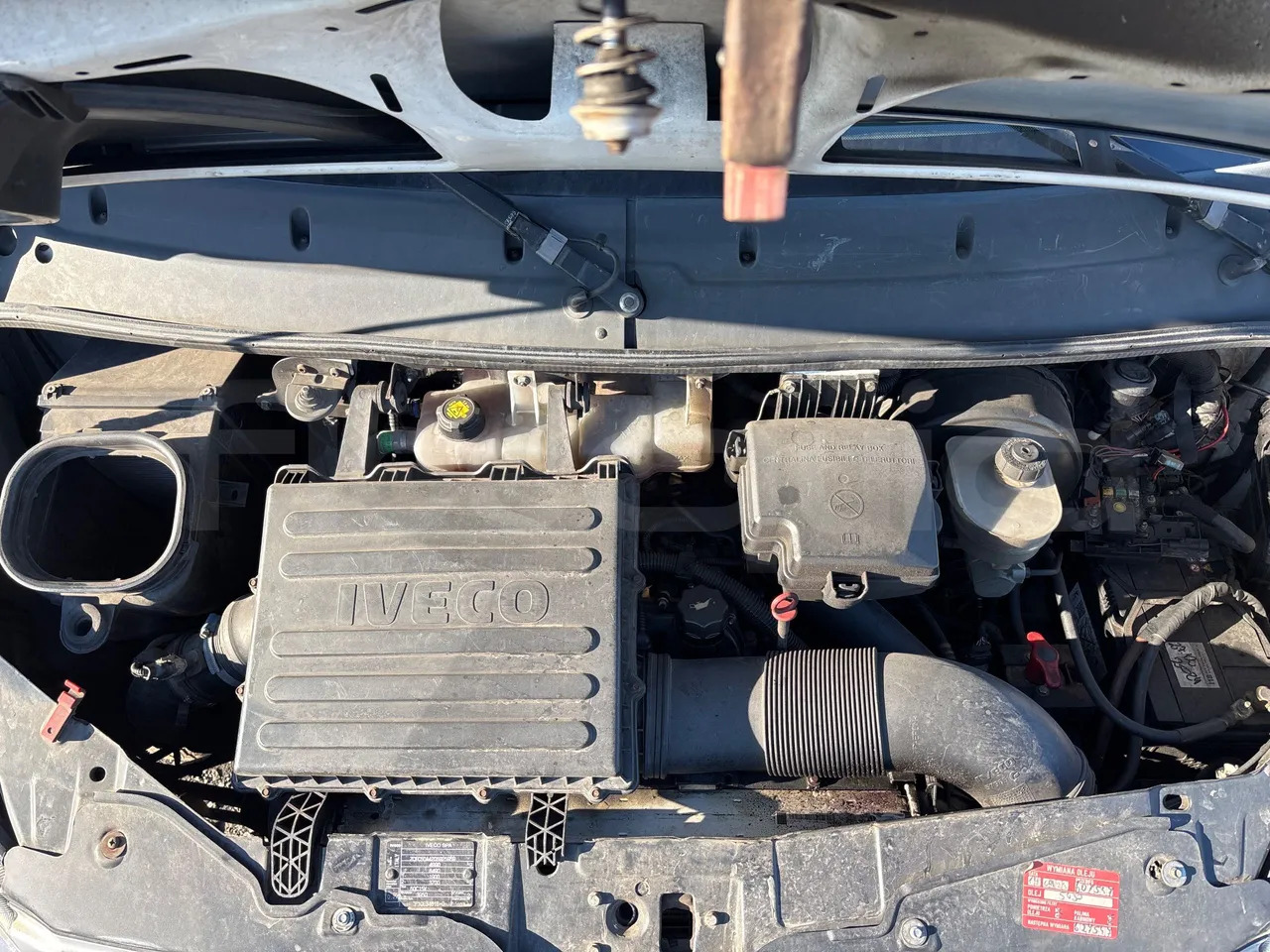 حافلة صغيرة, ميكروباص Iveco Daily: صورة 14 حافلة صغيرة, ميكروباص Iveco Daily: صورة 14