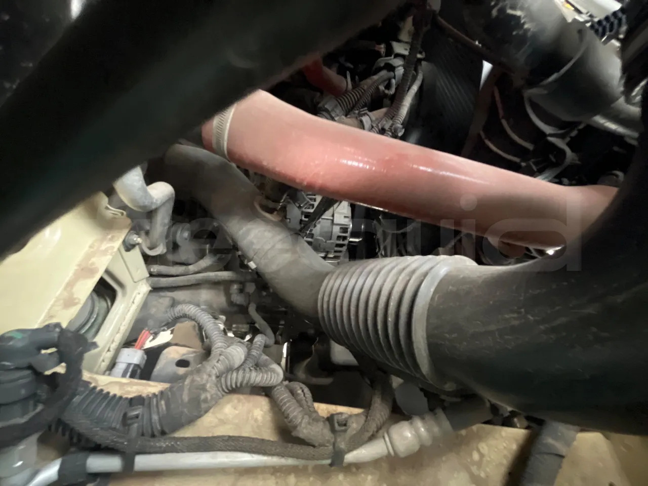 حافلة نقل لمسافات طويلة Iveco Indcar: صورة 16