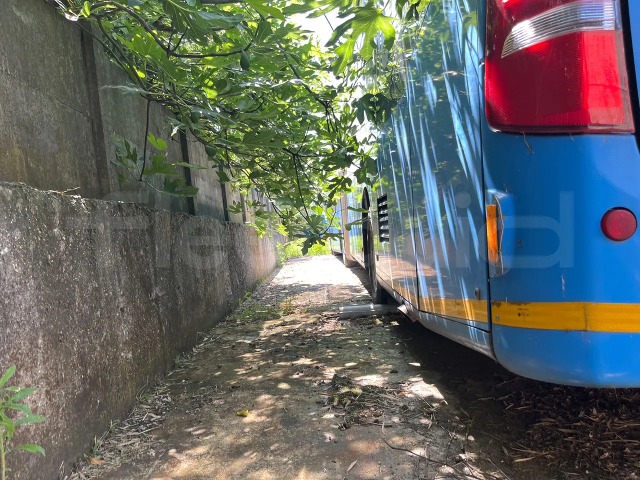 Mercedes-Benz Citaro G - حافلة المدينة: صورة 4 Mercedes-Benz Citaro G - حافلة المدينة: صورة 4