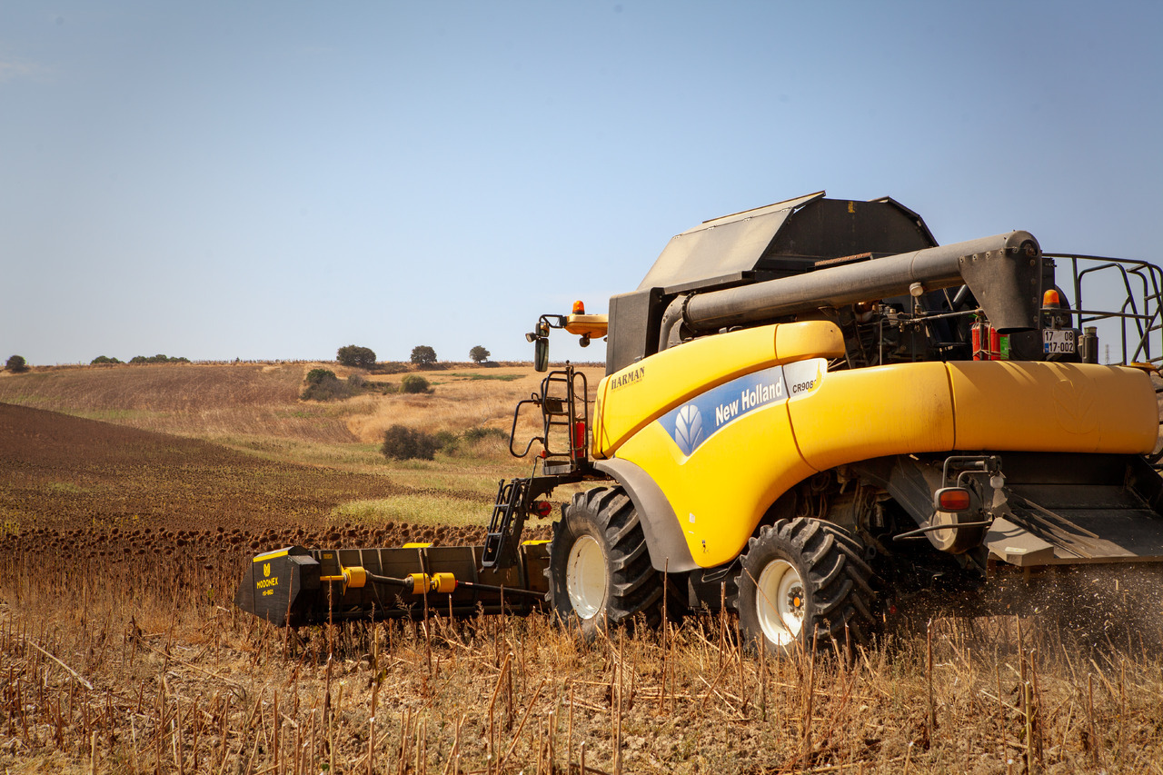 Modonex MX-630 - حصادة بذور دوار الشمس: صورة 3 Modonex MX-630 - حصادة بذور دوار الشمس: صورة 3