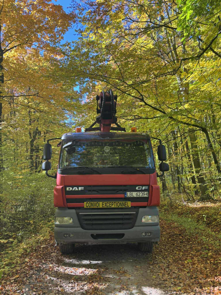 DAF CF510 - شاحنة قطع الأشجار, شاحنة كرين: صورة 4 DAF CF510 - شاحنة قطع الأشجار, شاحنة كرين: صورة 4