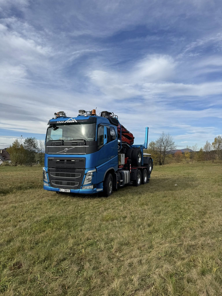 VOLVO FH540 - شاحنة قطع الأشجار, شاحنة كرين: صورة 2 VOLVO FH540 - شاحنة قطع الأشجار, شاحنة كرين: صورة 2