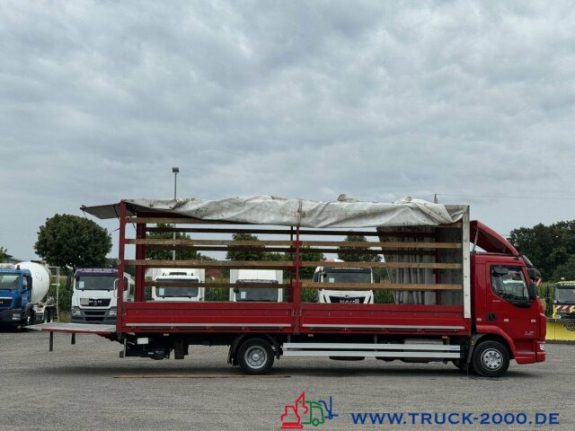 DAF LF220 Plane Spriegel Ladebordwand BÄR 1.500 Kg - شاحنة ذات ستائر جانبية: صورة 3 DAF LF220 Plane Spriegel Ladebordwand BÄR 1.500 Kg - شاحنة ذات ستائر جانبية: صورة 3