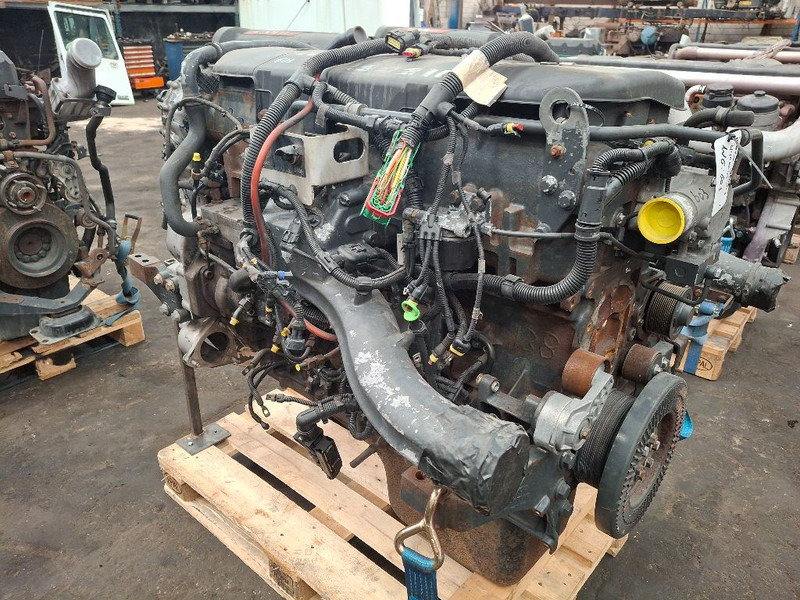 Iveco F3AE3681D ( CURSOR10 ) - محرك: صورة 4 Iveco F3AE3681D ( CURSOR10 ) - محرك: صورة 4