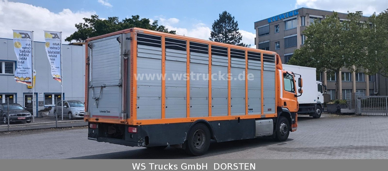 DAF CF 400 Menke Einstock Viehtransporter - شاحنة نقل خيل: صورة 5 DAF CF 400 Menke Einstock Viehtransporter - شاحنة نقل خيل: صورة 5