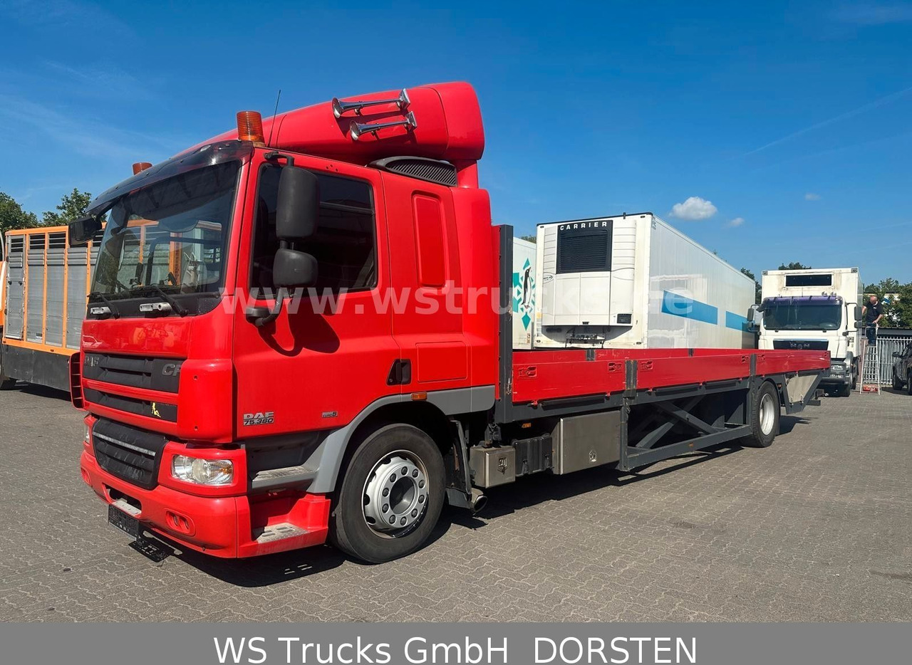 DAF CF 75 360 Spezial Radmulden 9,00 m Tielader - شاحنة نقل سيارات شاحنة: صورة 1 DAF CF 75 360 Spezial Radmulden 9,00 m Tielader - شاحنة نقل سيارات شاحنة: صورة 1