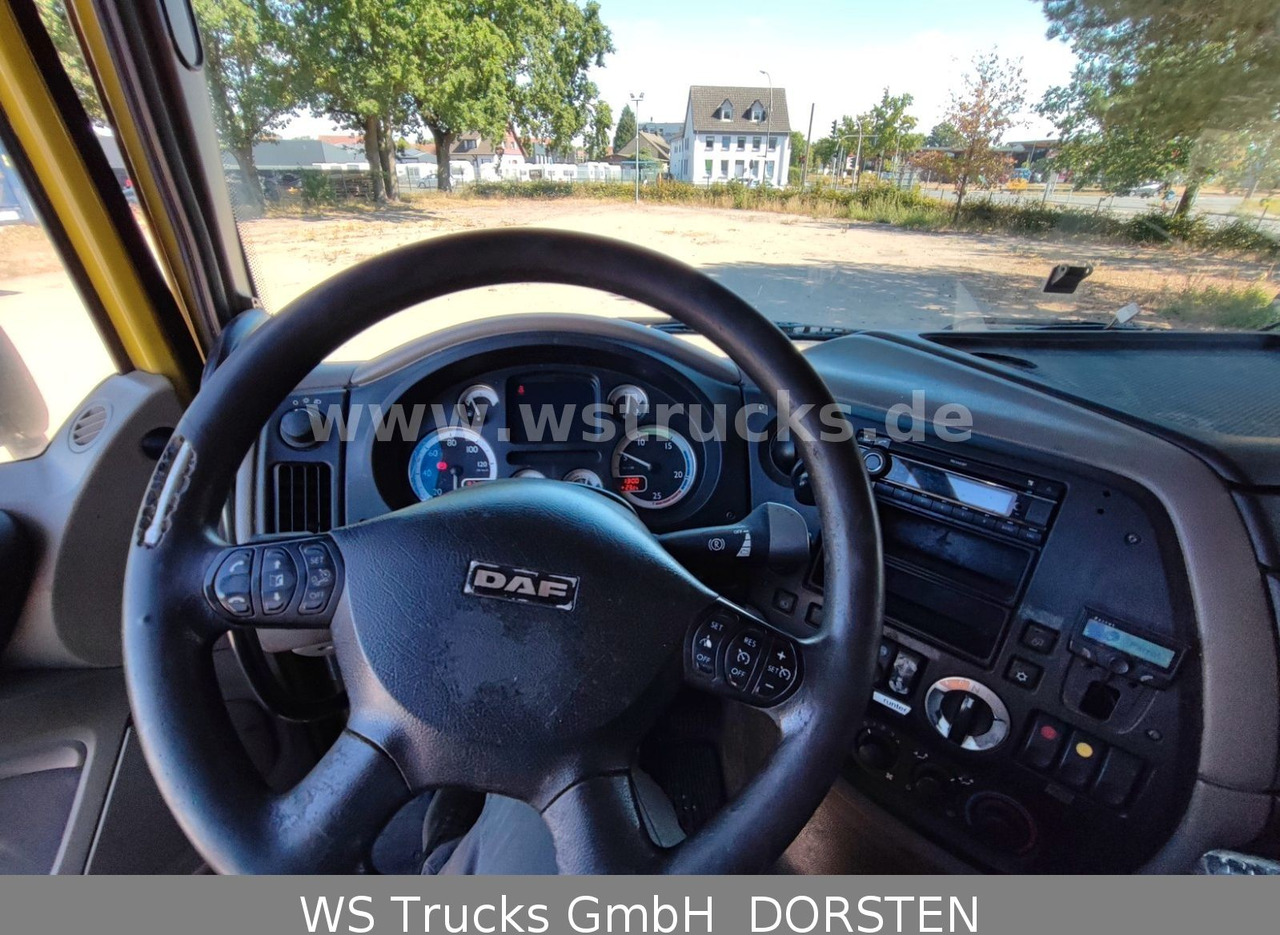 شاحنة نقل خيل DAF XF 410 SC Menke Doppelstock: صورة 12