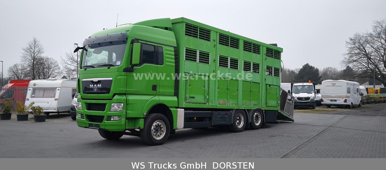 شاحنة نقل خيل MAN TGX 26.480 XL KABA   3 Stock Viehtransporter: صورة 9
