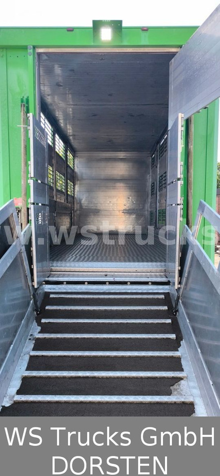 شاحنة نقل خيل MAN TGX 26.480 XL KABA   3 Stock Viehtransporter: صورة 17