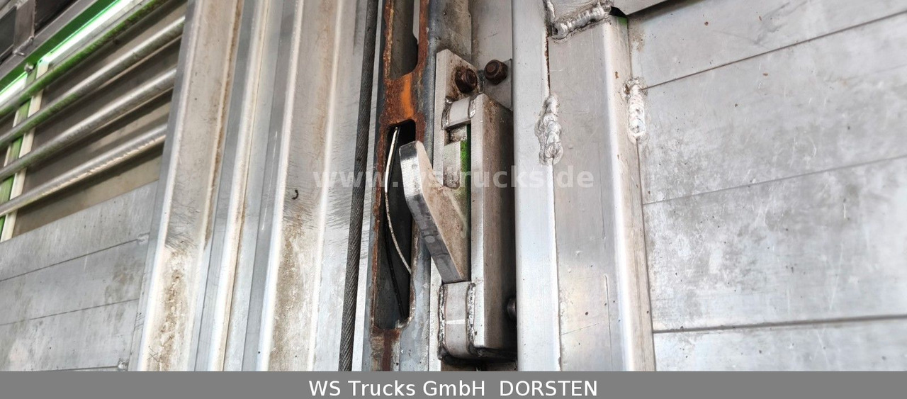 شاحنة نقل خيل MAN TGX 26.480 XL KABA   3 Stock Viehtransporter: صورة 14