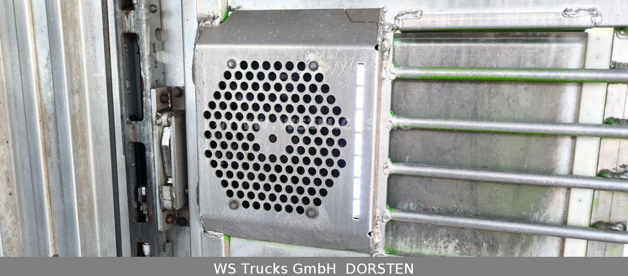 شاحنة نقل خيل MAN TGX 26.480 XL KABA   3 Stock Viehtransporter: صورة 13