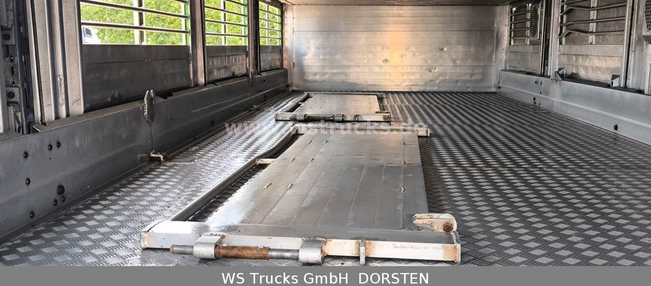 شاحنة نقل خيل MAN TGX 26.480 XL KABA   3 Stock Viehtransporter: صورة 19