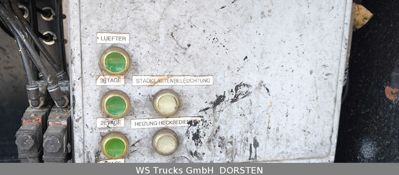 شاحنة نقل خيل MAN TGX 26.480 XL KABA   3 Stock Viehtransporter: صورة 29