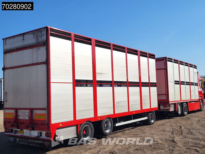 Scania G420 6X2 Cattle transport combi Liftable floor Lift-Asche Euro 5 - شاحنة صندوقية: صورة 5 Scania G420 6X2 Cattle transport combi Liftable floor Lift-Asche Euro 5 - شاحنة صندوقية: صورة 5