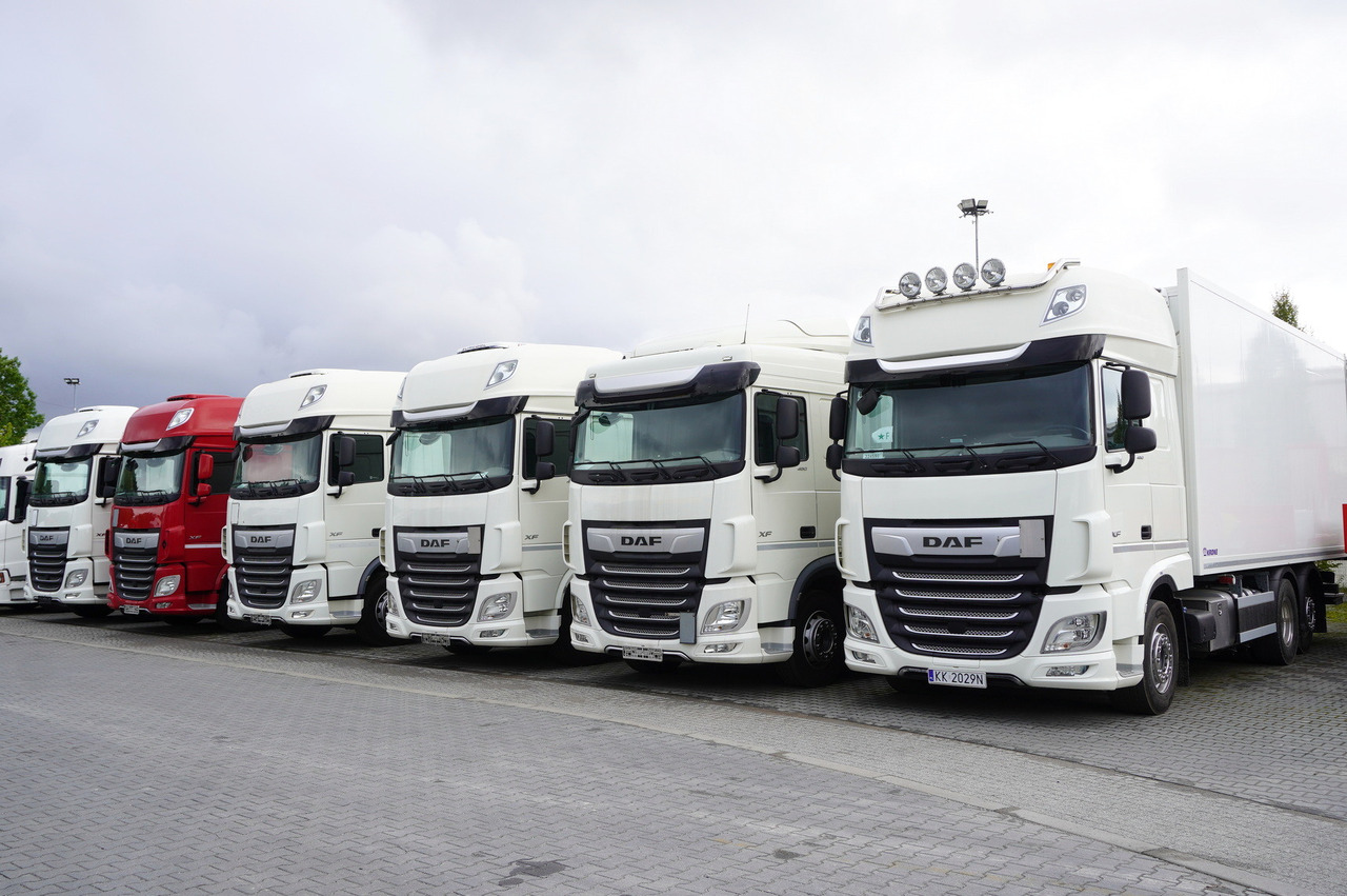 DAF XF 480 E6 6×2 / Refrigerator 18 pallets / 6 units - شاحنة ذات مبرد: صورة 2 DAF XF 480 E6 6×2 / Refrigerator 18 pallets / 6 units - شاحنة ذات مبرد: صورة 2
